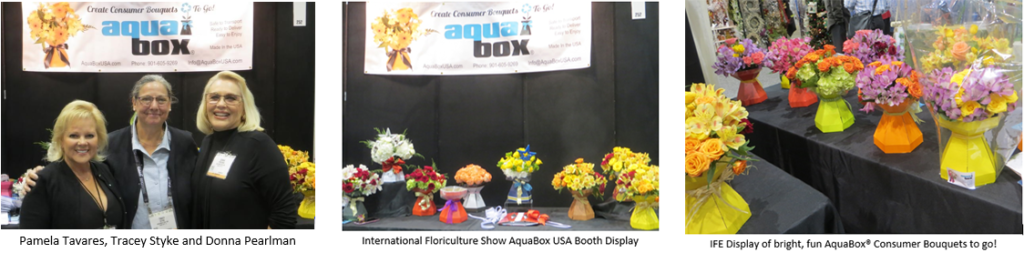 AquaBox Displays