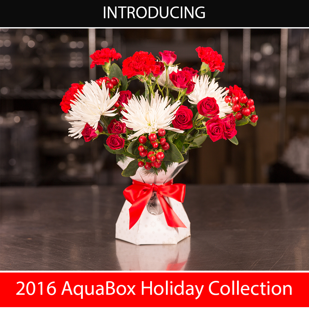 2016-AquaBox-Holiday-Collection